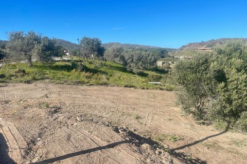Finca i Cadaques, Gerona, Cadaques - € 3.390.000 | Ref: W-049ZLP - foto 13